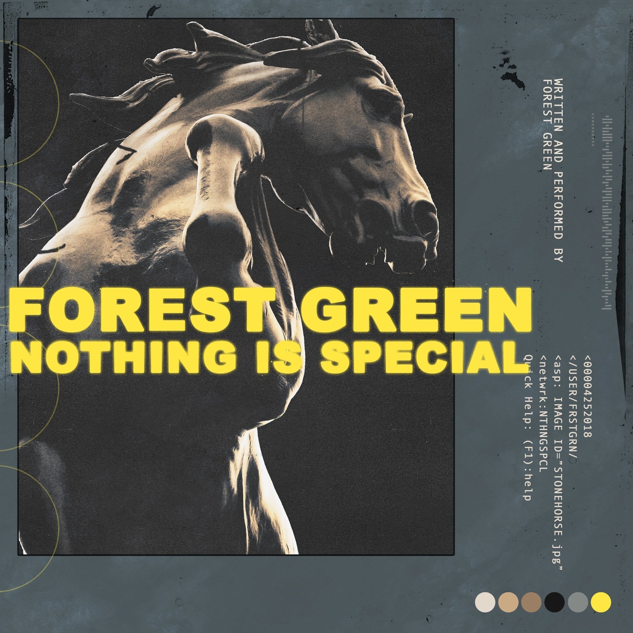 Nothing Is Special - NO SLEEP RECORDS - Forest Green